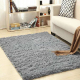 carpet cleaning in brooklyn, carpet cleaning in new york, carpet cleaning brooklyn, carpet cleaners in brooklyn, carpet cleaners in new york, commercial carpet cleaning, commercial carpet cleaning in brooklyn, brooklyn rug cleaners, rug cleaning services in brooklyn, same day carpet cleaning, same day rug cleaning