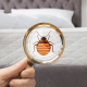 carpet cleaning in brooklyn, carpet cleaning in new york, carpet cleaning brooklyn, carpet cleaners in brooklyn, carpet cleaners in new york, commercial carpet cleaning, commercial carpet cleaning in brooklyn, brooklyn rug cleaners, rug cleaning services in brooklyn, same day carpet cleaning, same day rug cleaning
